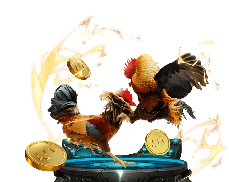 Cá cược bóng rổ NBA